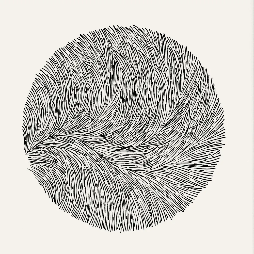 Croquis réalisé au feutre noir sur une feuille blanche, c'est une esquisse préalable à la réalisation d'une sculpture murale de forme ronde. Le mouvement des écailles est tracé avec maîtrise et finesse.