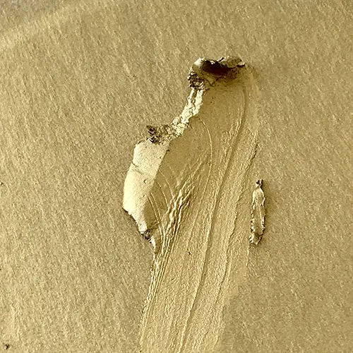 Un détail de matière, la cire à dorer, qui permet de révéler la surface des écailles sculptées lors de la réalisation de patine bronze.